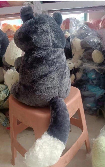 Bad Cat "Eduardo"