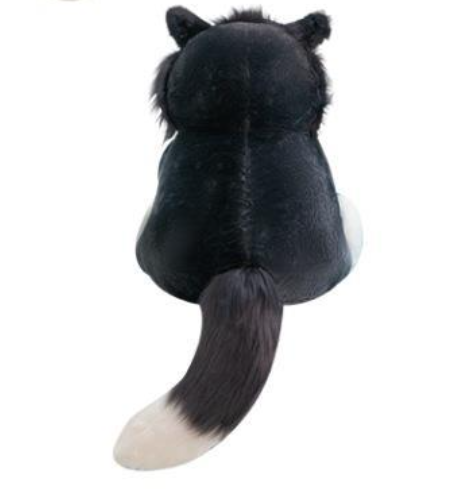 Bad Cat "Eduardo"