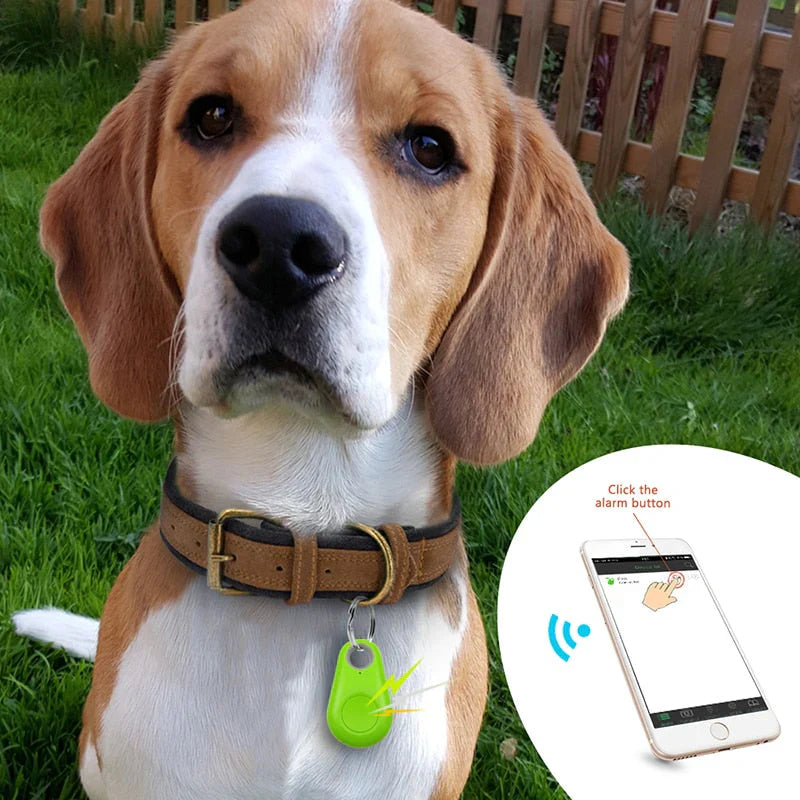 Premium GPS/Bluetooth 4.0 -Tracker für Haustiere