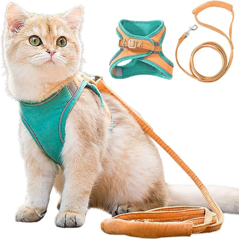 Niedliches Katzengeschirr