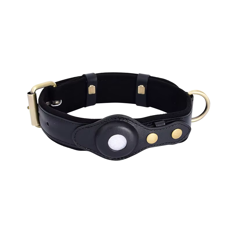 Premium Leder Hundehalsband mit Vorbereitung für Appel AirTag Tracker