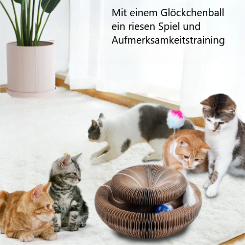 Katzen Spielplatz +