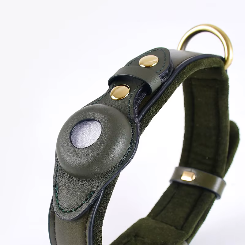 Premium Leder Hundehalsband mit Vorbereitung für Appel AirTag Tracker