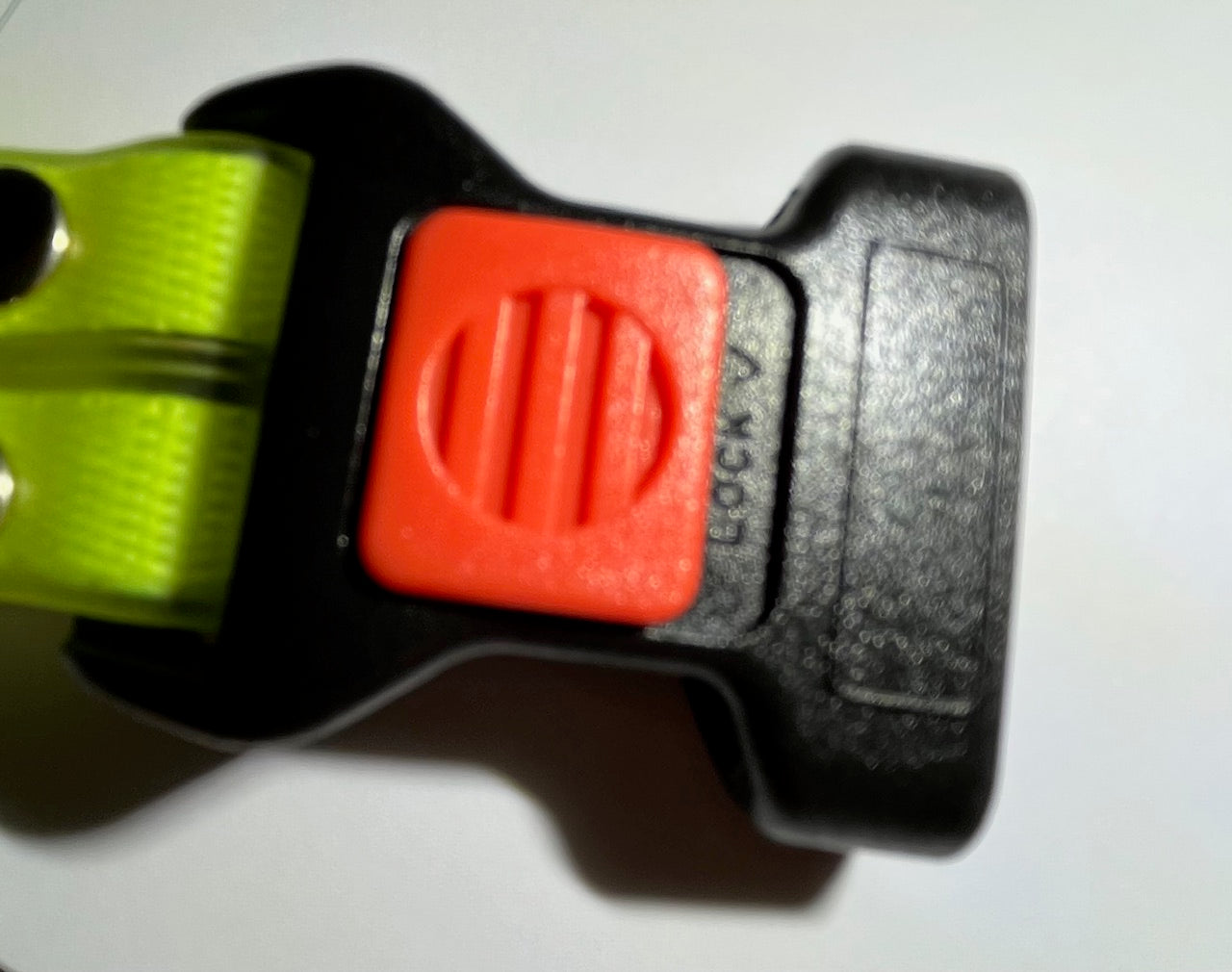Das neue LED-Leuchthalsband inkl. bel. Gurtband - TOP