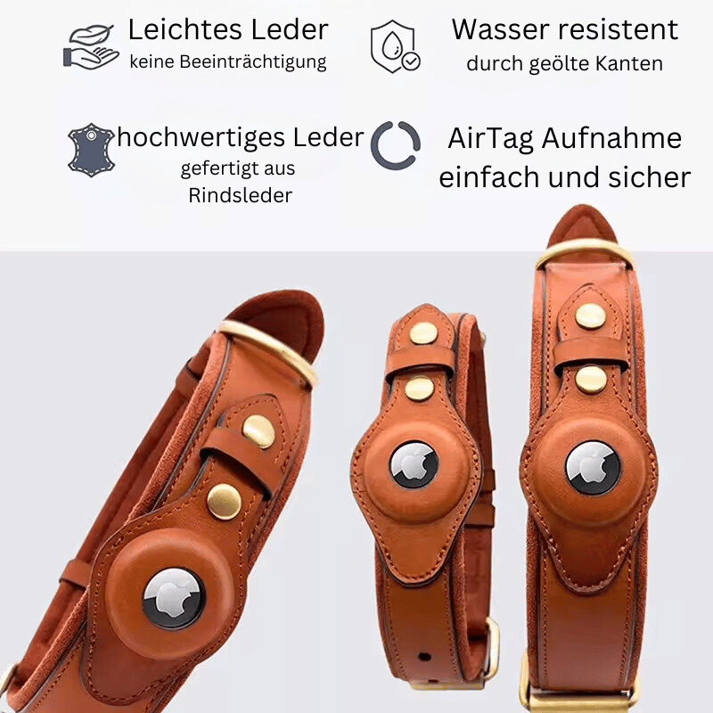 Premium Leder Hundehalsband mit Vorbereitung für Appel AirTag Tracker