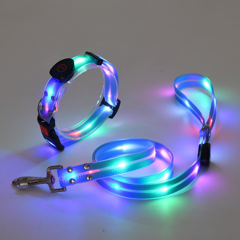 Das neue LED-Leuchthalsband inkl. bel. Gurtband - TOP