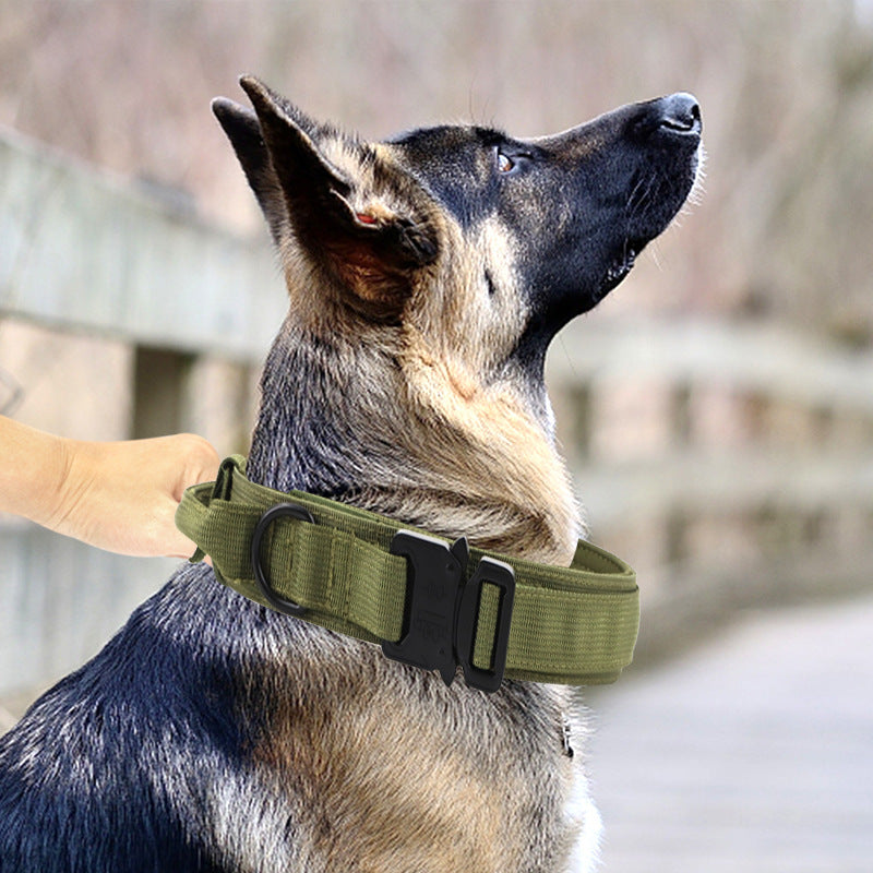 Taktisches Hundehalsband und Leine im Set