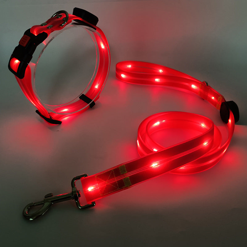 Das neue LED-Leuchthalsband inkl. bel. Gurtband - TOP