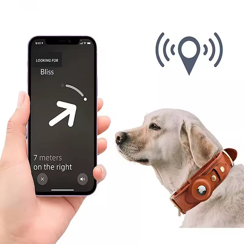 Premium Leder Hundehalsband mit Vorbereitung für Appel AirTag Tracker