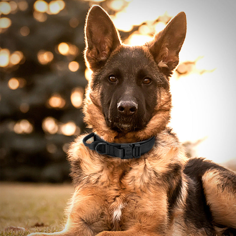 Taktisches Hundehalsband und Leine im Set