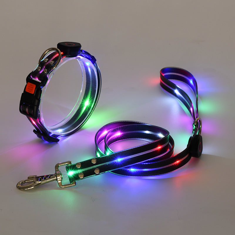 Das neue LED-Leuchthalsband inkl. bel. Gurtband - TOP