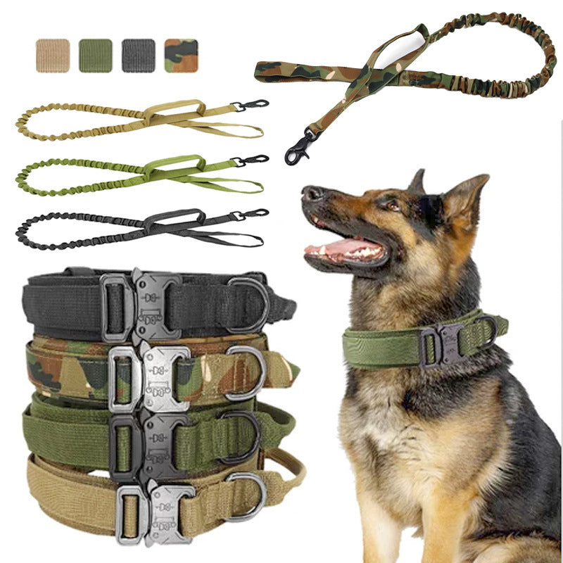 Taktisches Hundehalsband und Leine im Set