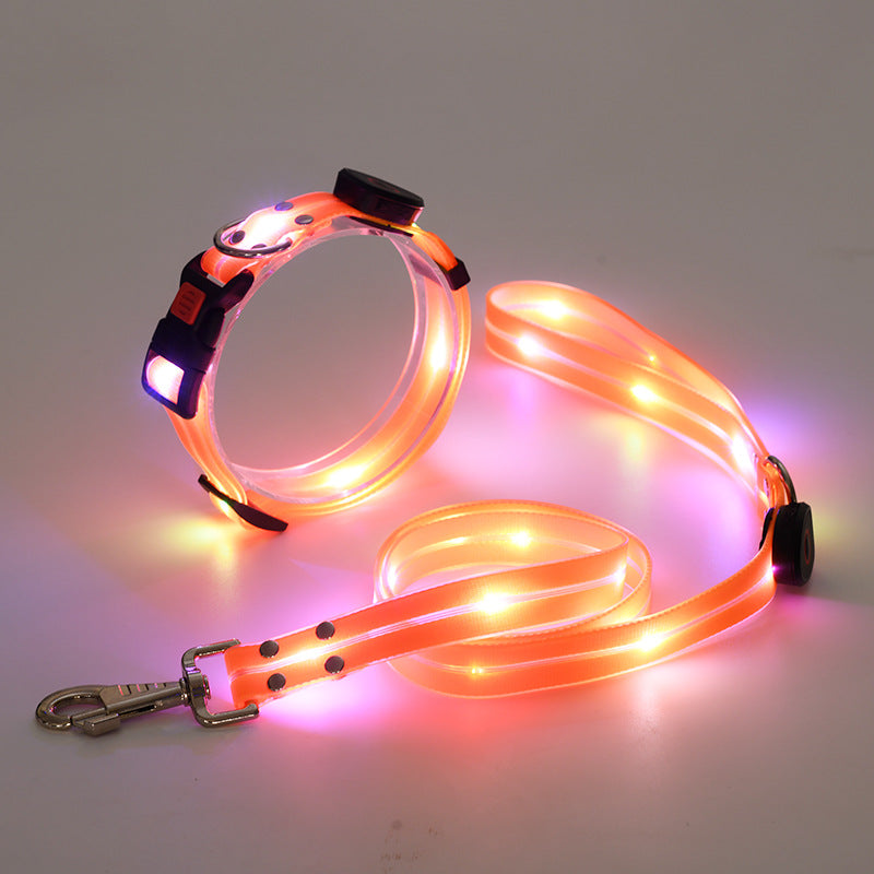 Das neue LED-Leuchthalsband inkl. bel. Gurtband - TOP