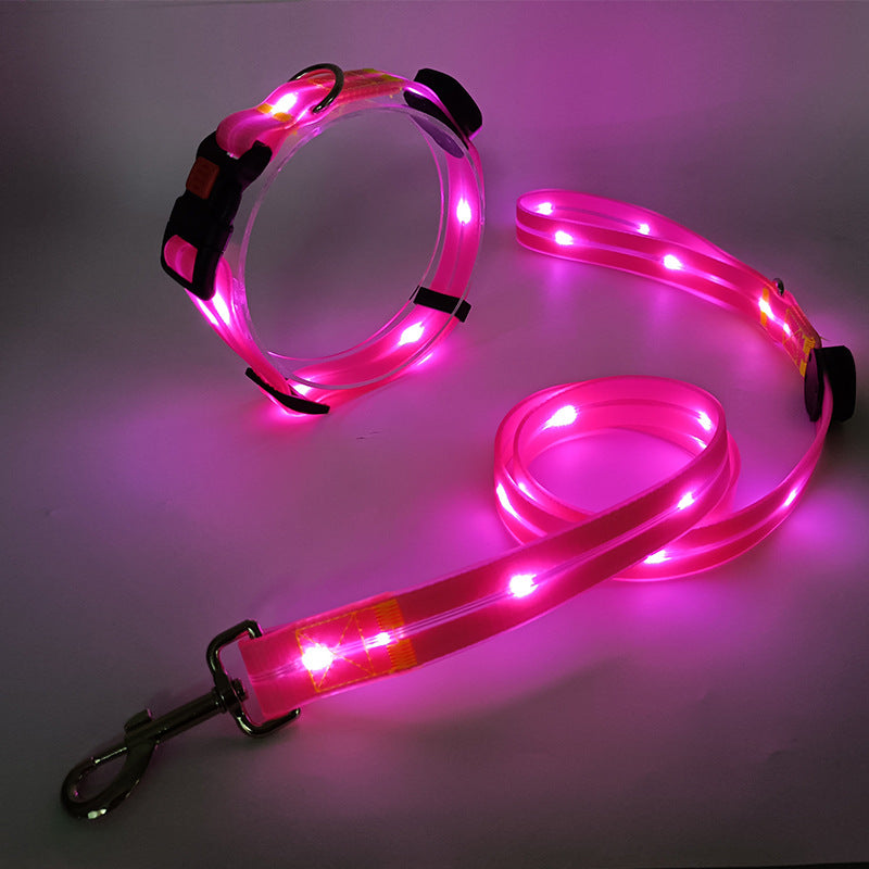 Das neue LED-Leuchthalsband inkl. bel. Gurtband - TOP