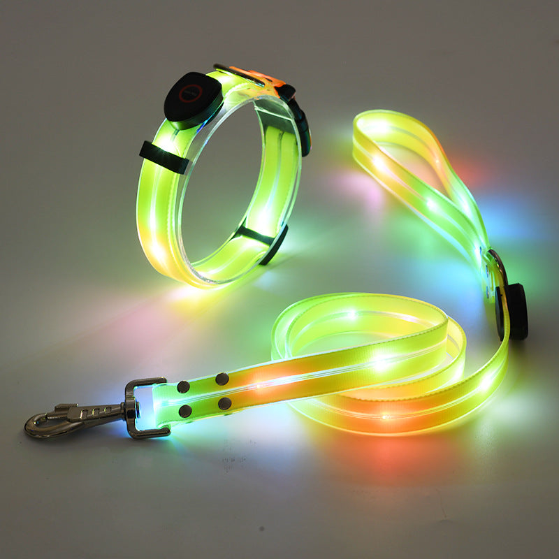 Das neue LED-Leuchthalsband inkl. bel. Gurtband - TOP