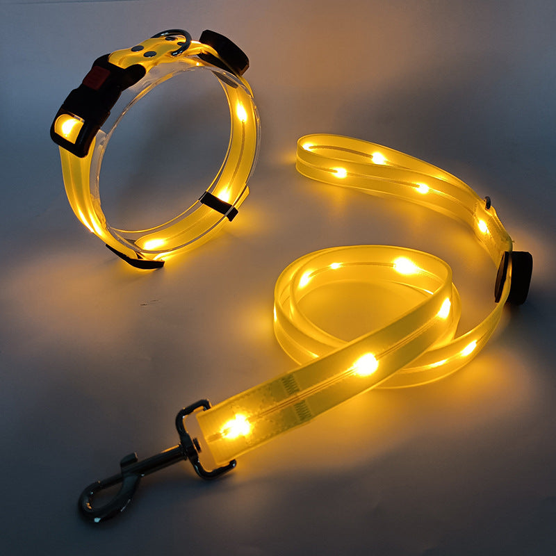 Das neue LED-Leuchthalsband inkl. bel. Gurtband - TOP