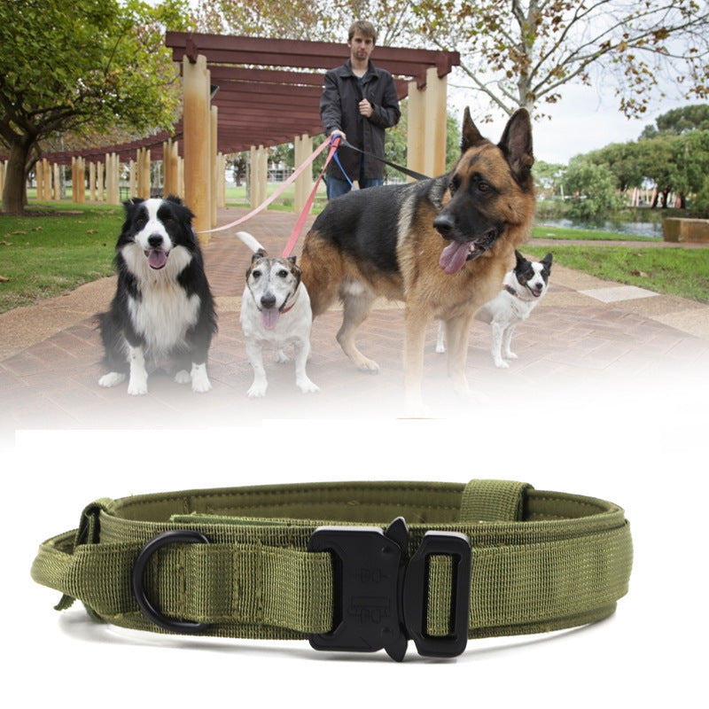 Taktisches Hundehalsband und Leine im Set