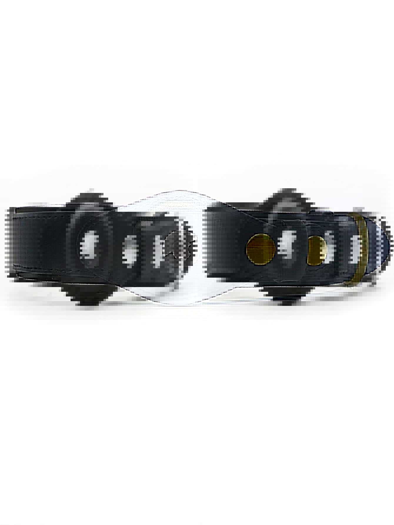 Premium Leder Hundehalsband mit Vorbereitung für Appel AirTag Tracker