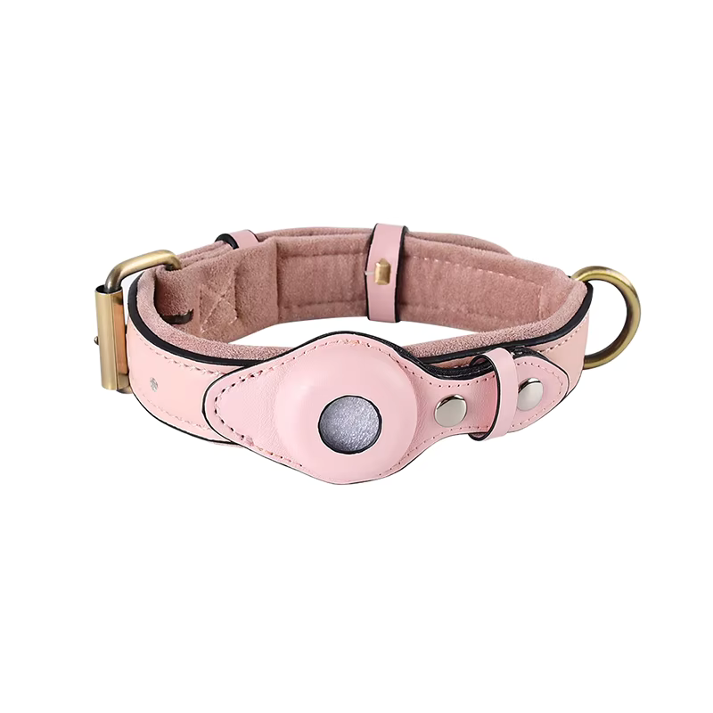 Premium Leder Hundehalsband mit Vorbereitung für Appel AirTag Tracker