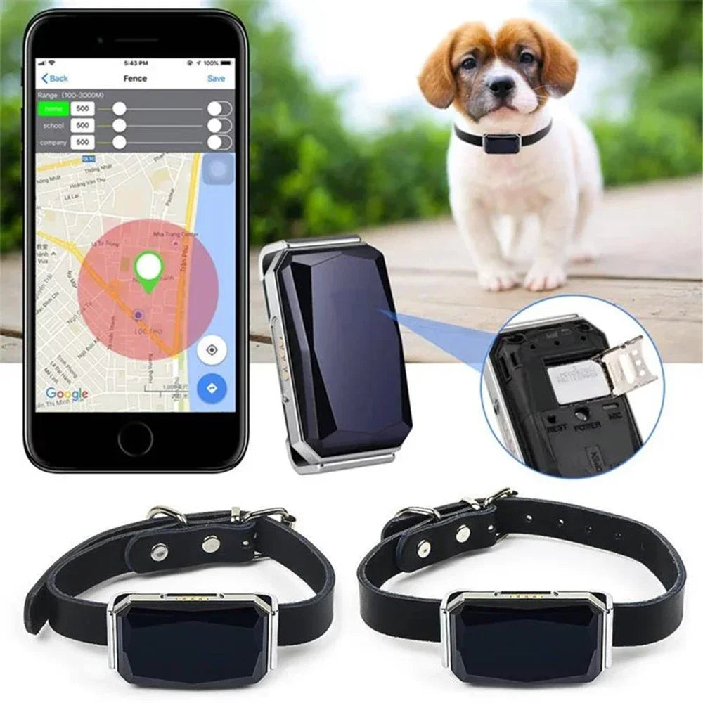 echter GPS Tracker für Haustiere "Spie" inkl. Tracking Datenspeicherung