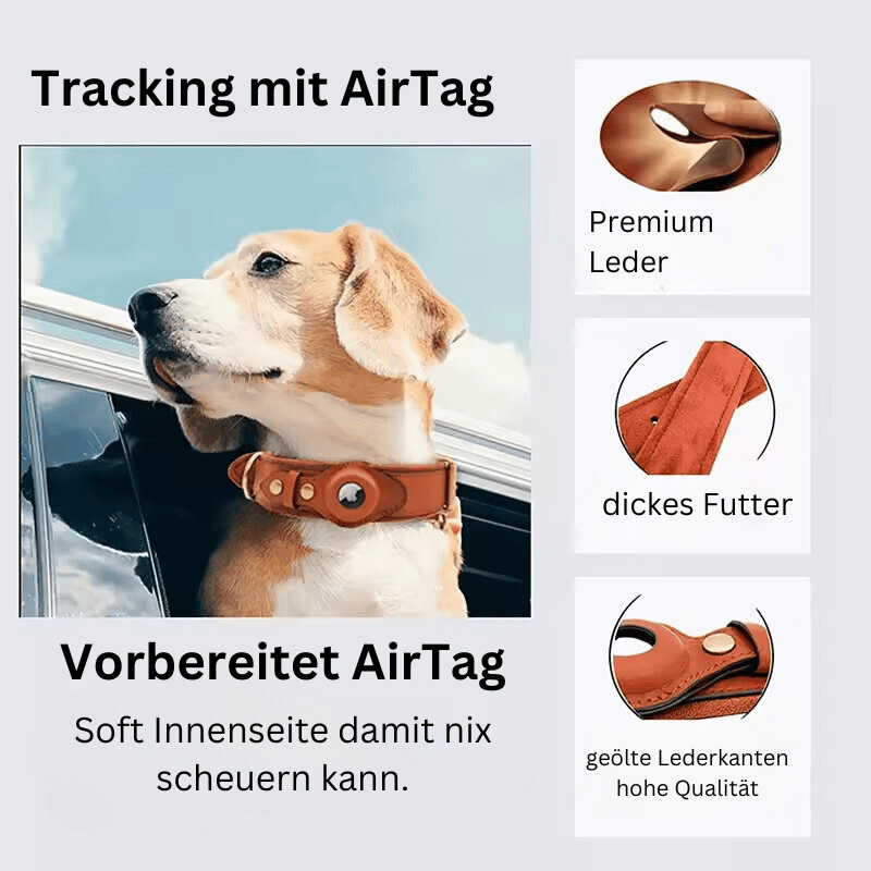 Premium Leder Hundehalsband mit Vorbereitung für Appel AirTag Tracker