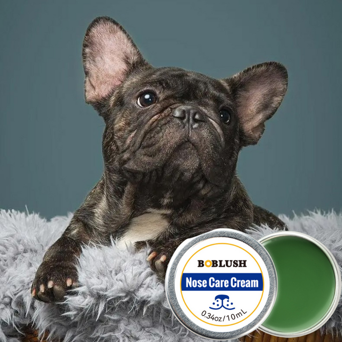 Pflege und Schutzcreme für Hundeschnauzen