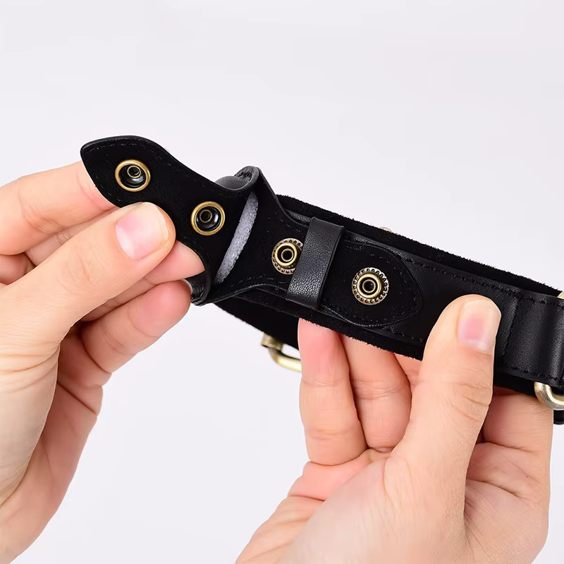 Premium Leder Hundehalsband mit Vorbereitung für Appel AirTag Tracker