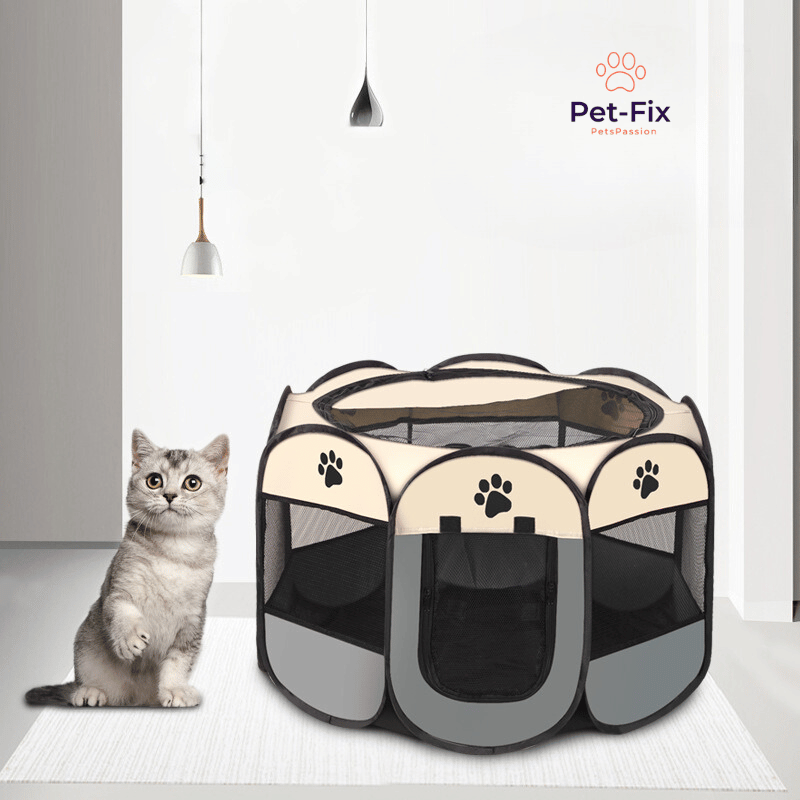 Kitten/Welpen Hort