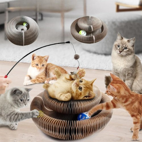 Katzen Spielplatz +