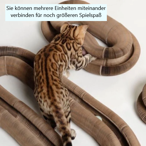 Katzen Spielplatz +