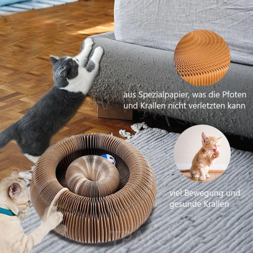 Katzen Spielplatz +