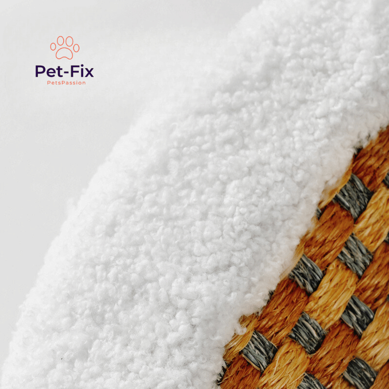 Premium Katzenbett mit Sisal  Kratzplatte