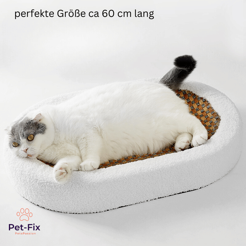 Premium Katzenbett mit Sisal  Kratzplatte