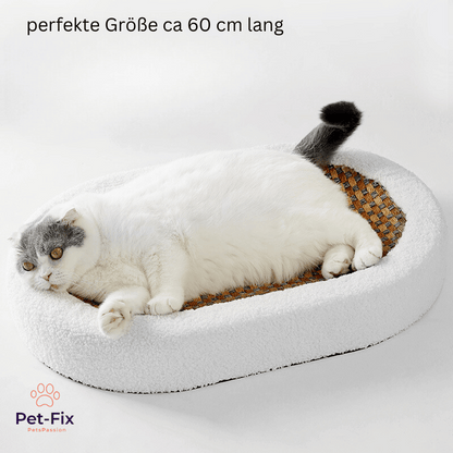Premium Katzenbett mit Sisal  Kratzplatte