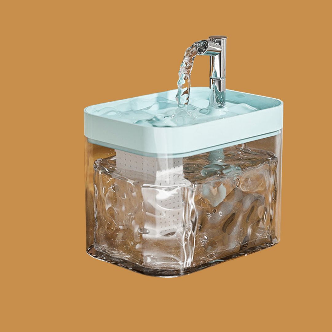 Premium Haustier Trinkbrunnen für Sauberes Wasser
