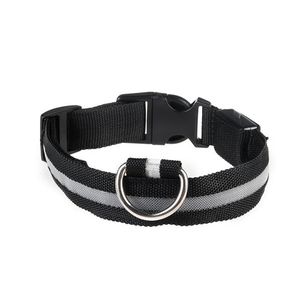LED Hundehalsband "Lumixa"