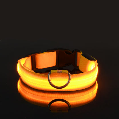 LED Hundehalsband "Lumixa"