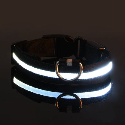 LED Hundehalsband "Lumixa"