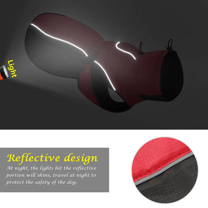 Wasserdichter Regenmantel für Hunde inkl. Eignung für Hundegeschirre