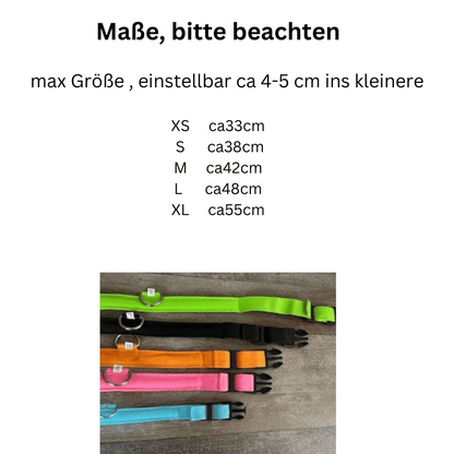 LED Hundehalsband "Lumixa"