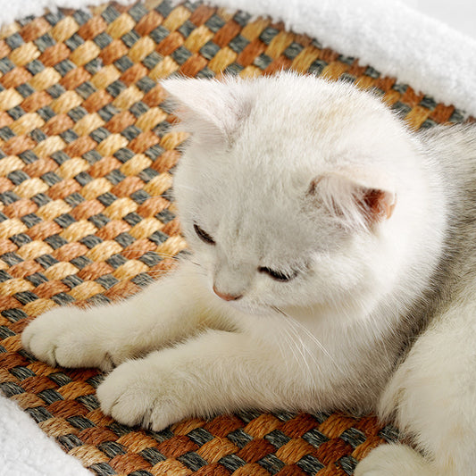 Premium Katzenbett mit Sisal  Kratzplatte