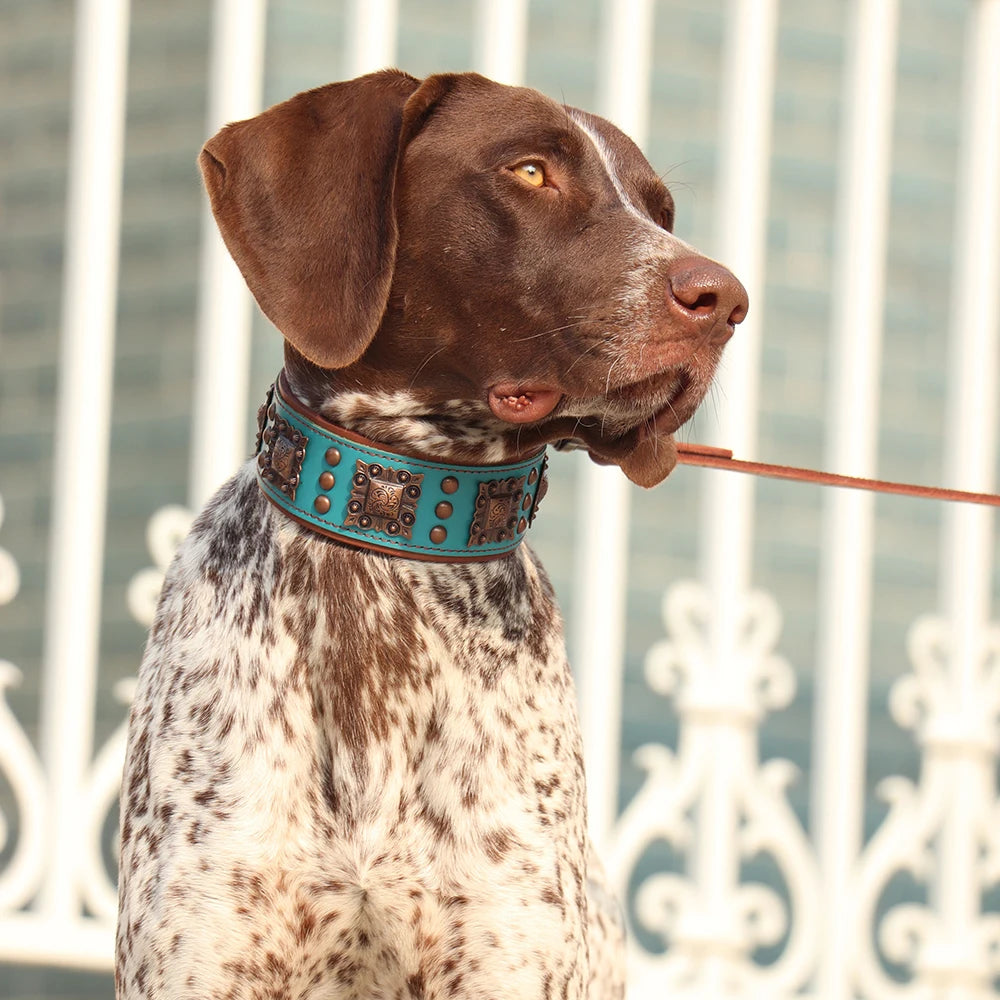 Luxus Lederhalsband mit Stahl Applikationen für große Hunde - 5 cm breit, viele Designs
