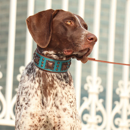 Luxus Lederhalsband mit Stahl Applikationen für große Hunde - 5 cm breit, viele Designs