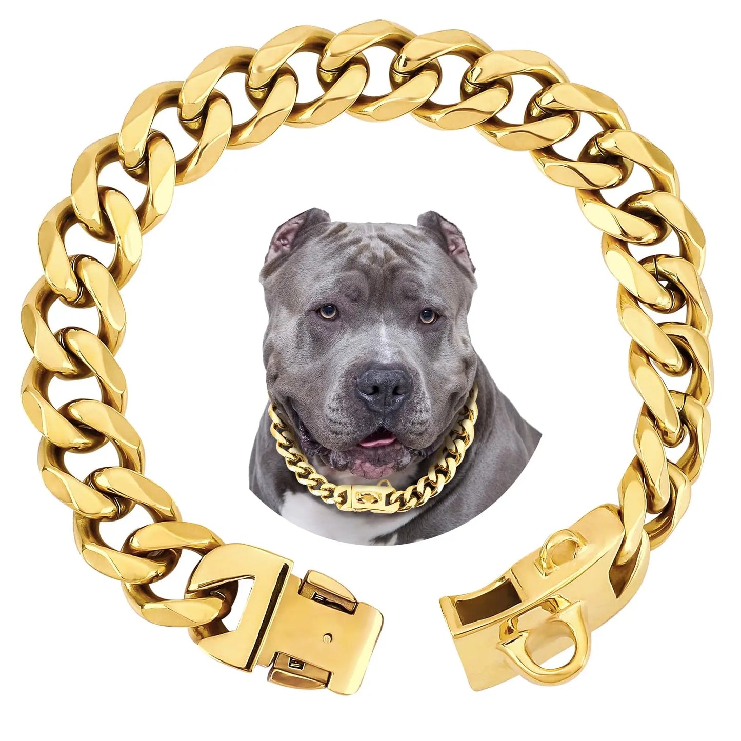 Hundehalskette aus Titanstahl "Cuba V2"