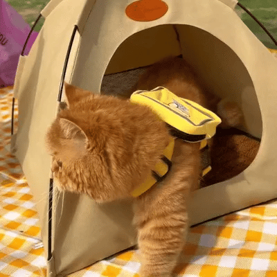 Kühlendes Katzenzelt
