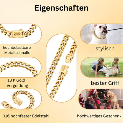 Hundehalskette aus Titanstahl "Cuba V2"