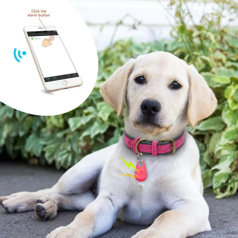 Premium GPS/Bluetooth 4.0 -Tracker für Haustiere