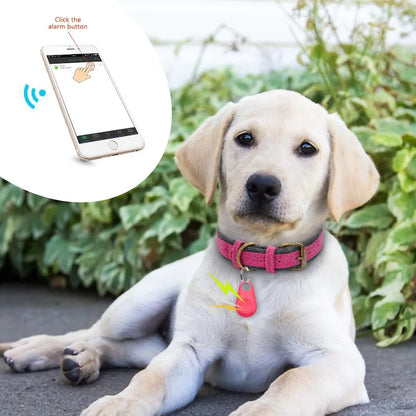Premium GPS/Bluetooth 4.0 -Tracker für Haustiere